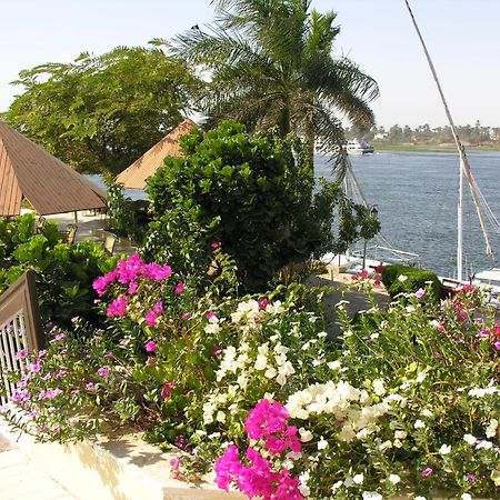 Pyramisa Hotel Luksor Dış mekan fotoğraf